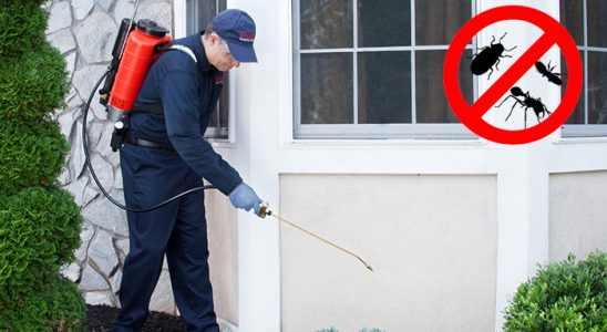 Ardanuç Böcek ve Haşere İlaçlama böcek ilaçlama ve haşere kontrolü — ilaclama-tr.com